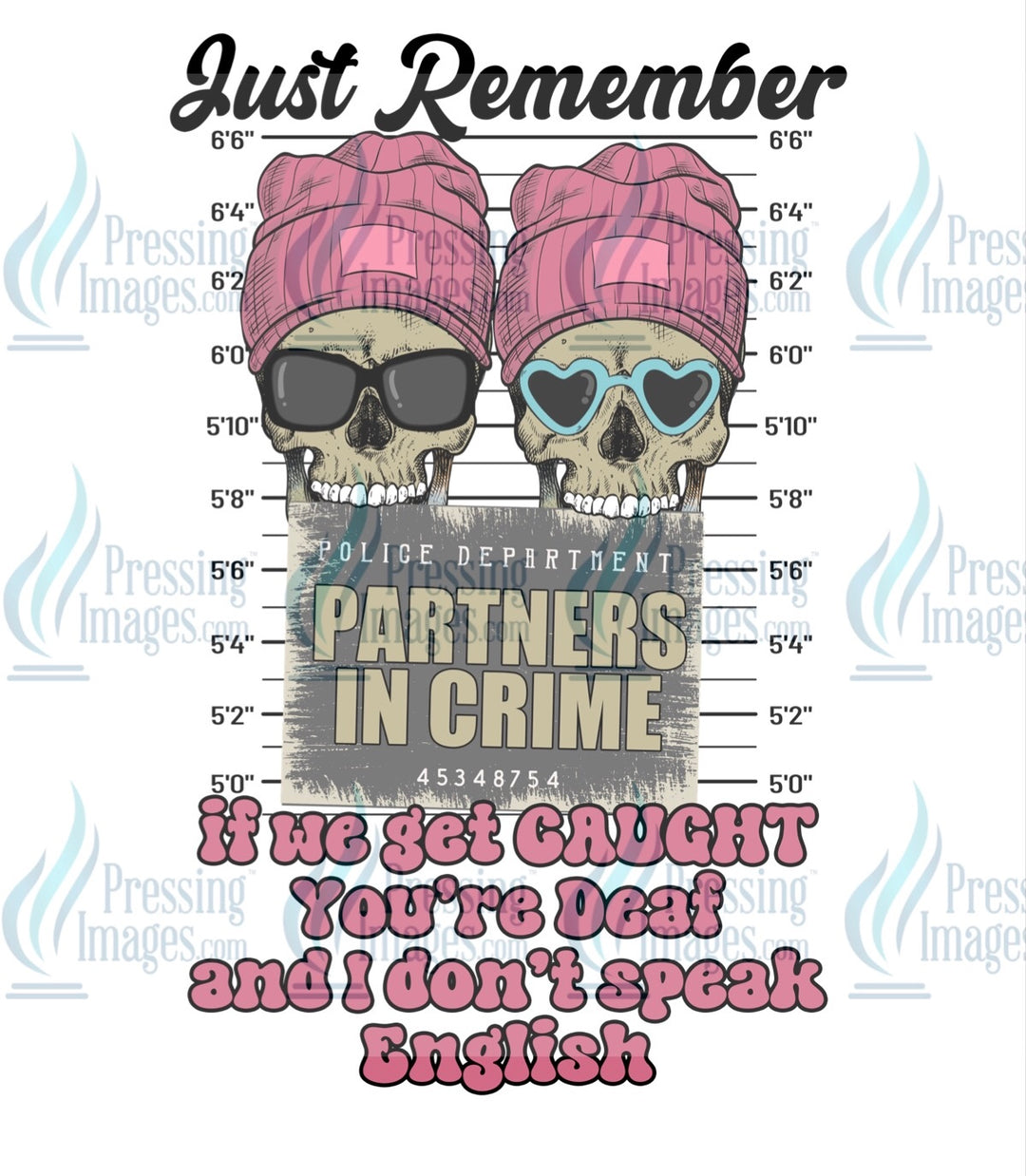 Decal: 4061 Partners in crime