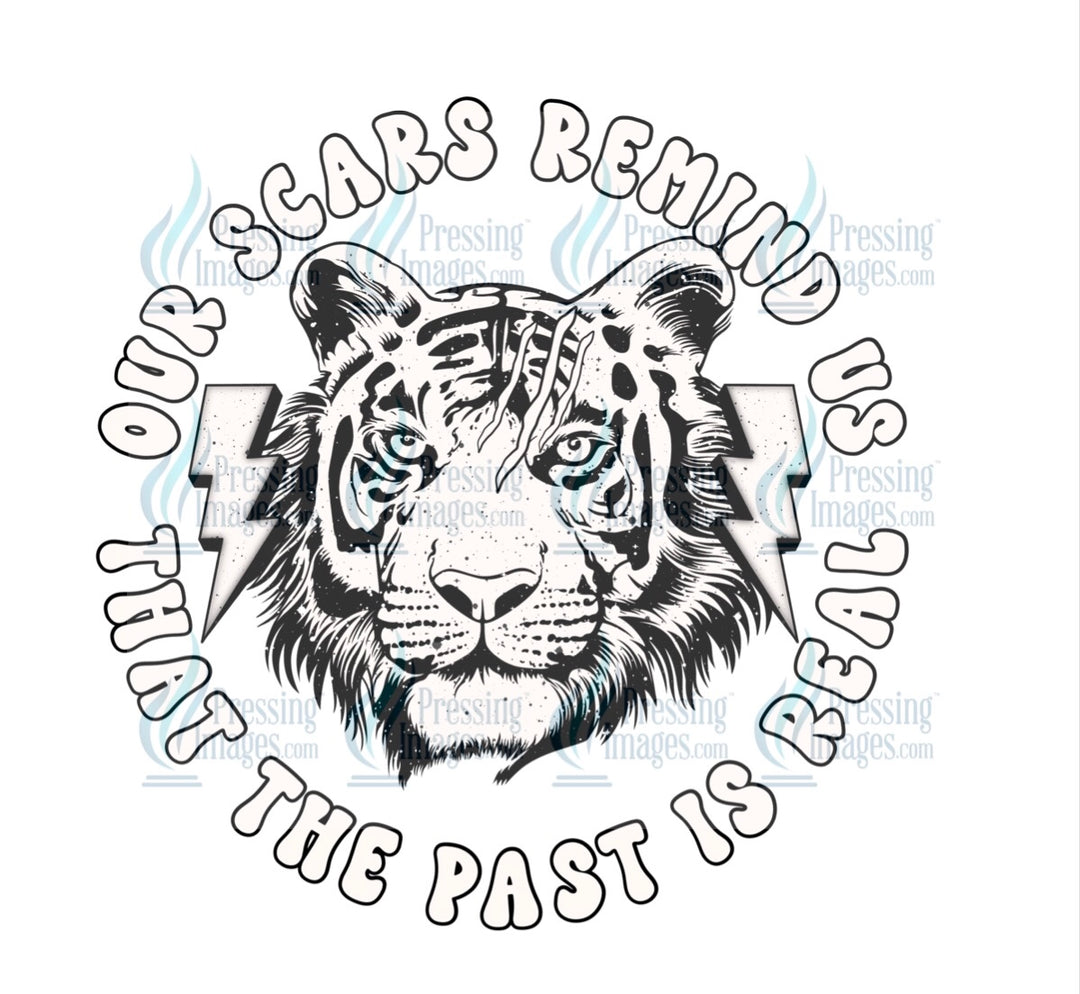 Decal: 4116 Our scars remind is that the past is real