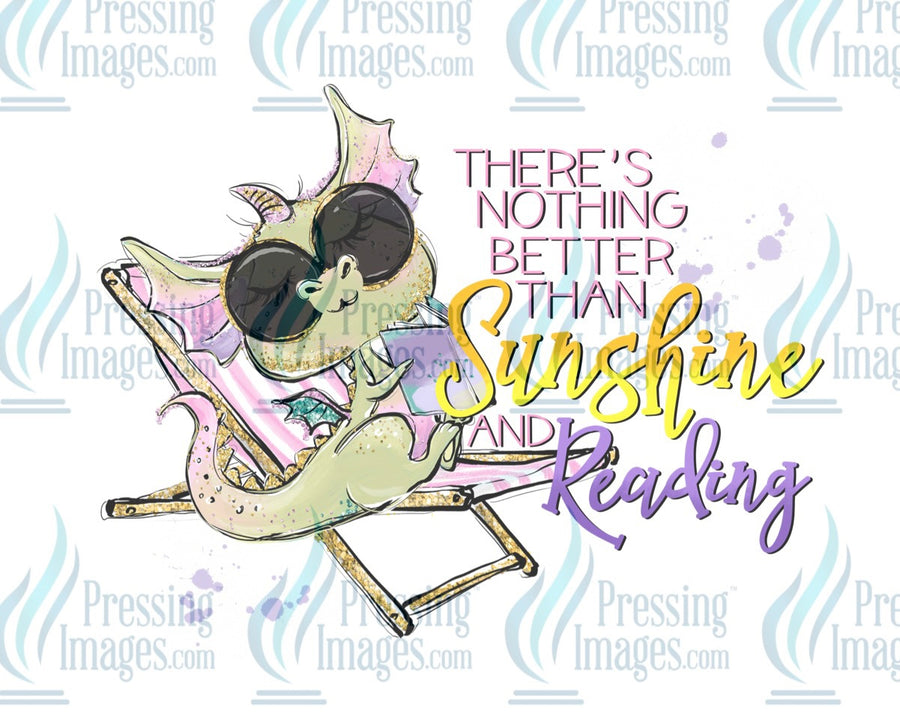Decal: Dragon nothing better than sunshine and reading