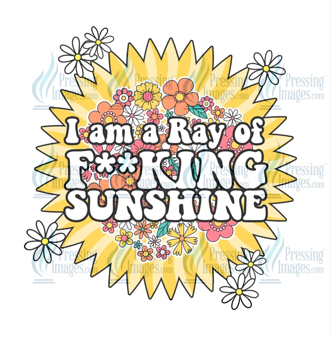 Decal: 4048 Ray of Effie sunshine