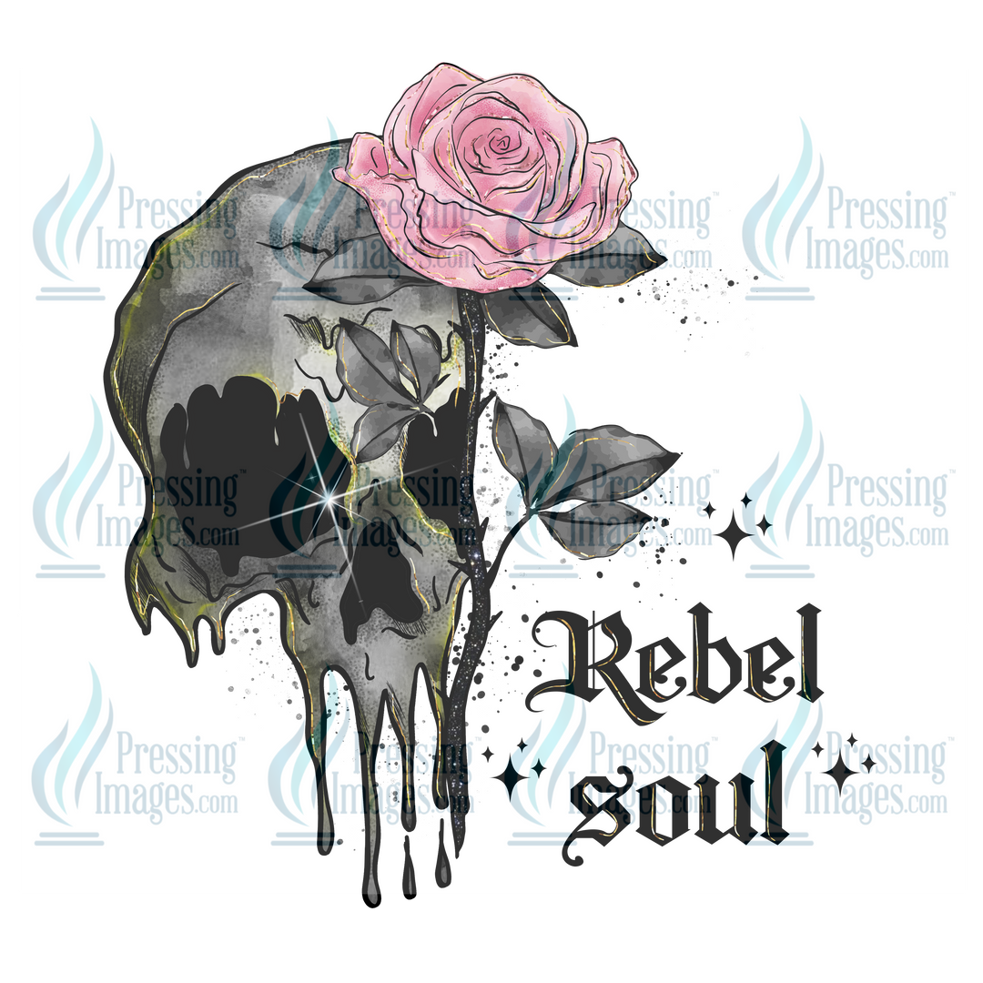 Decal: 1994 Rebel Soul