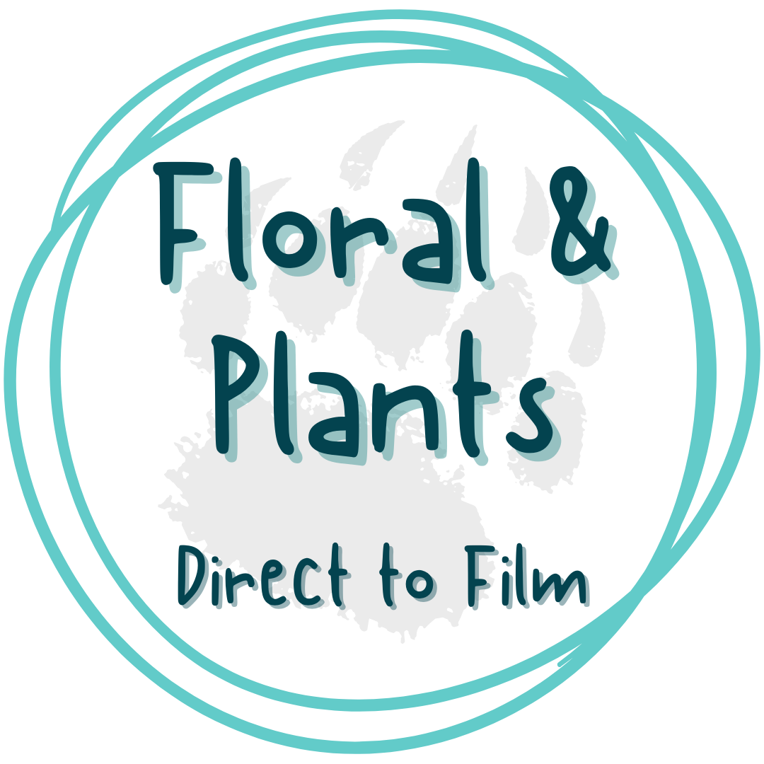 Floral | Plants - DTF