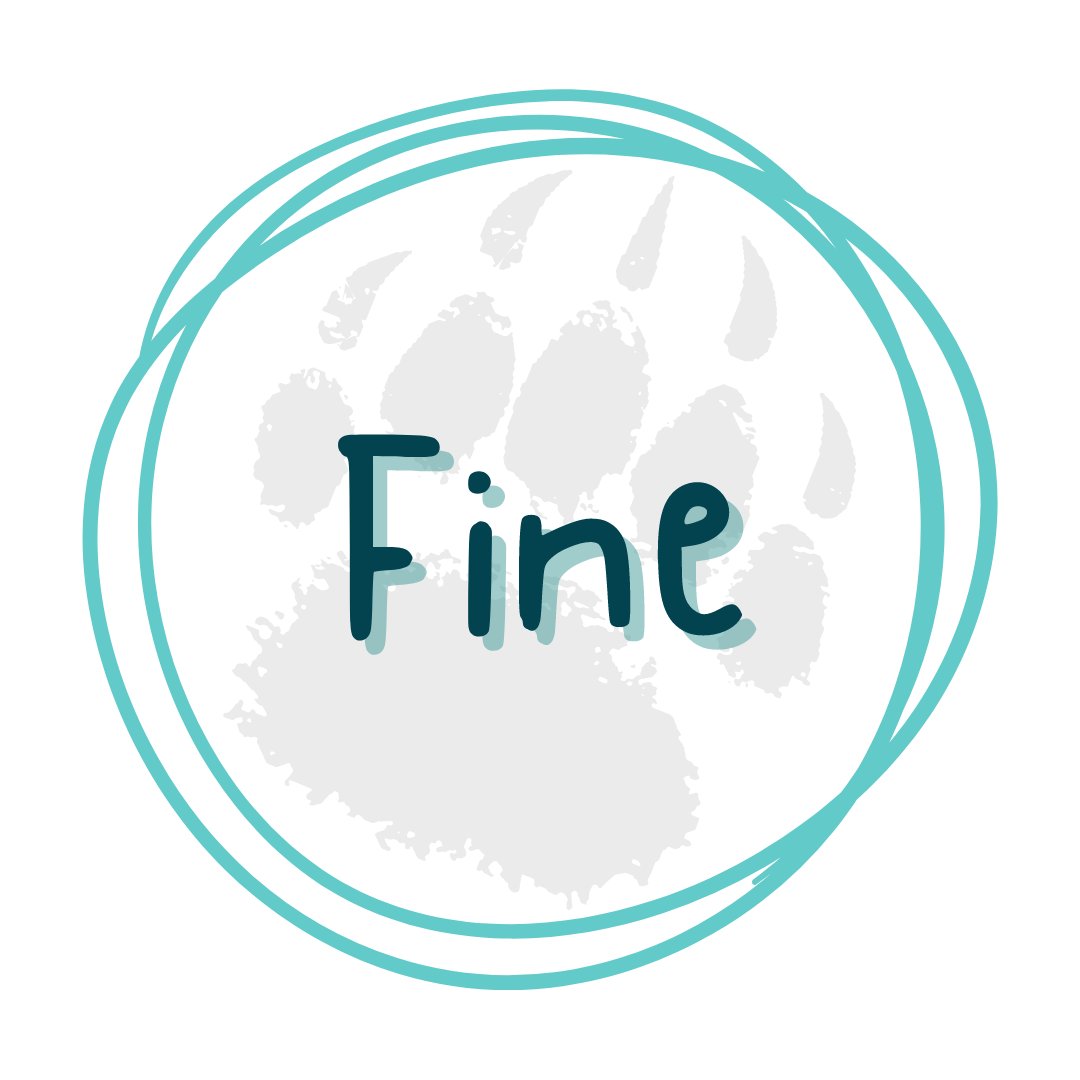 Fine