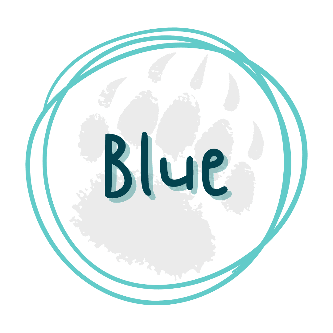 Blue Glitter Collection - Sparkling Essentials for Every Occasion - Pressing Images