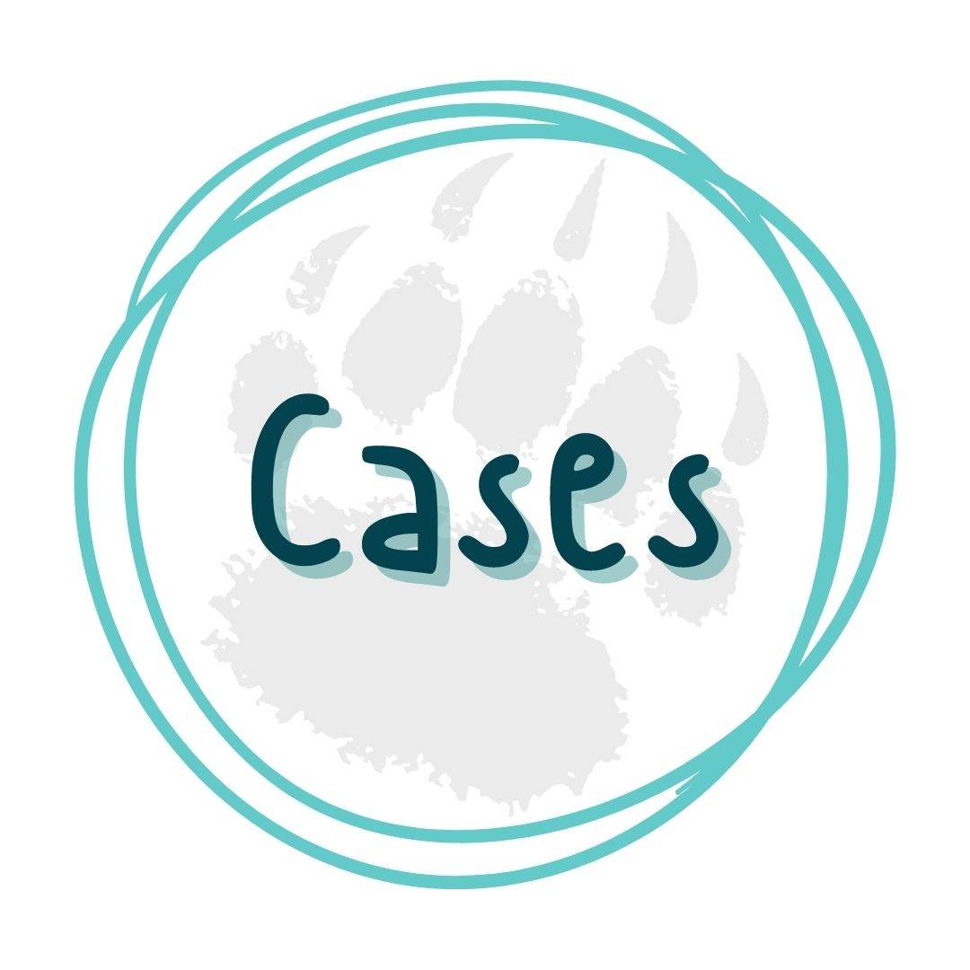 Cases for Blank Mugs: Protect Your Creative Canvas - Pressing Images