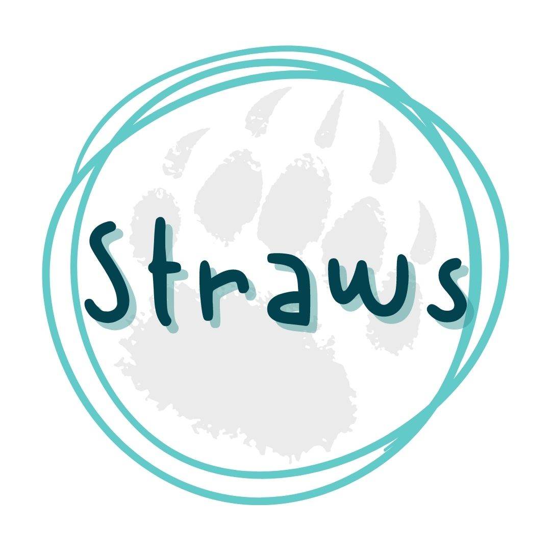 Eco-Friendly Reusable Straws for Sustainable Sipping - Pressing Images