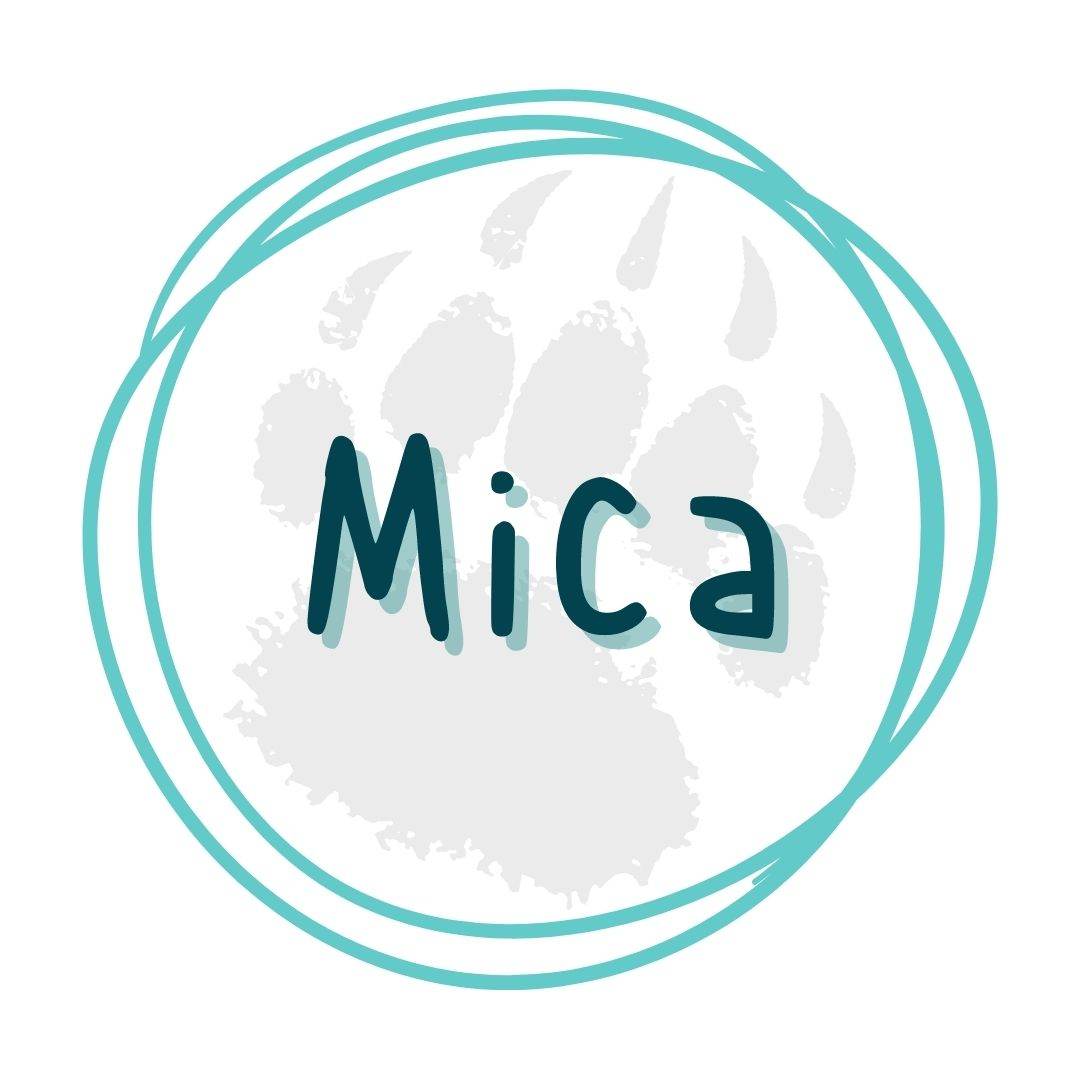 Mica Products Collection - Premium Quality Mica for All Your Crafting Needs - Pressing Images