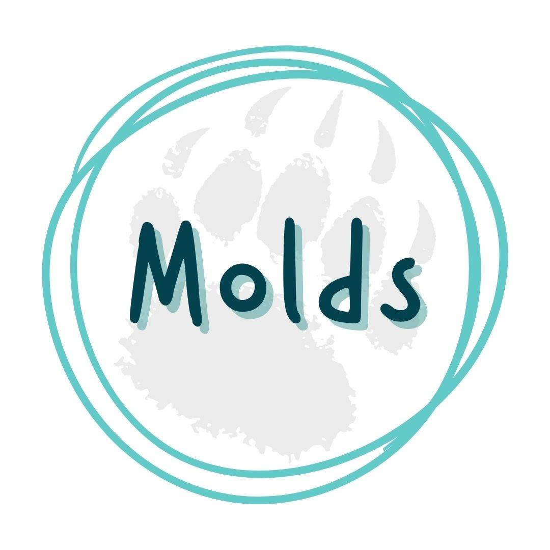 Molds Collection: Premium Epoxy Molds for Creative Projects - Pressing Images