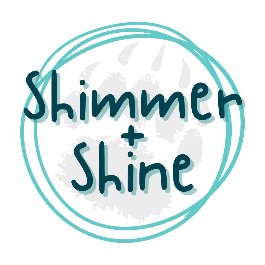Shimmer and Shine Collection: Illuminate Your Style with Sparkling Favorites - Pressing Images