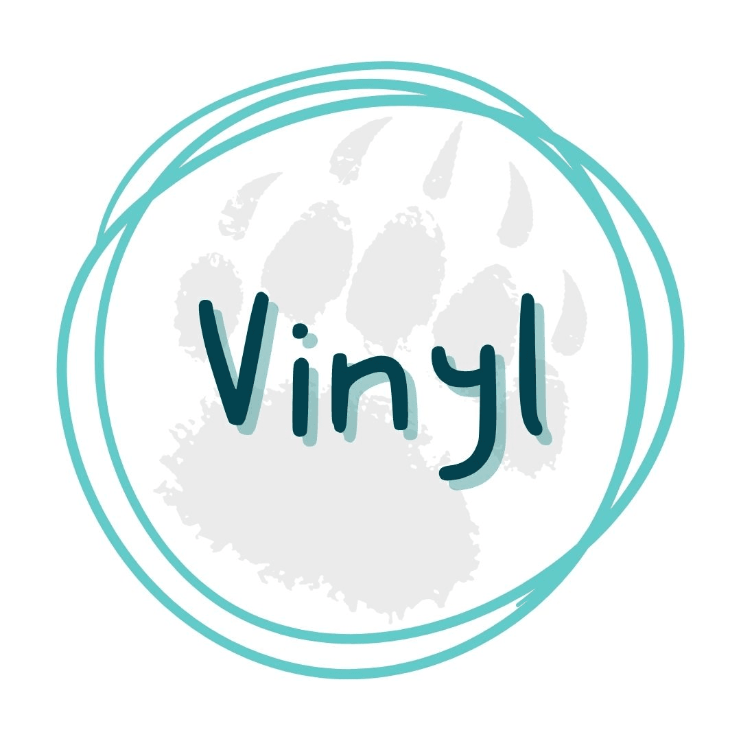 Vinyl for Crafting - Pressing Images