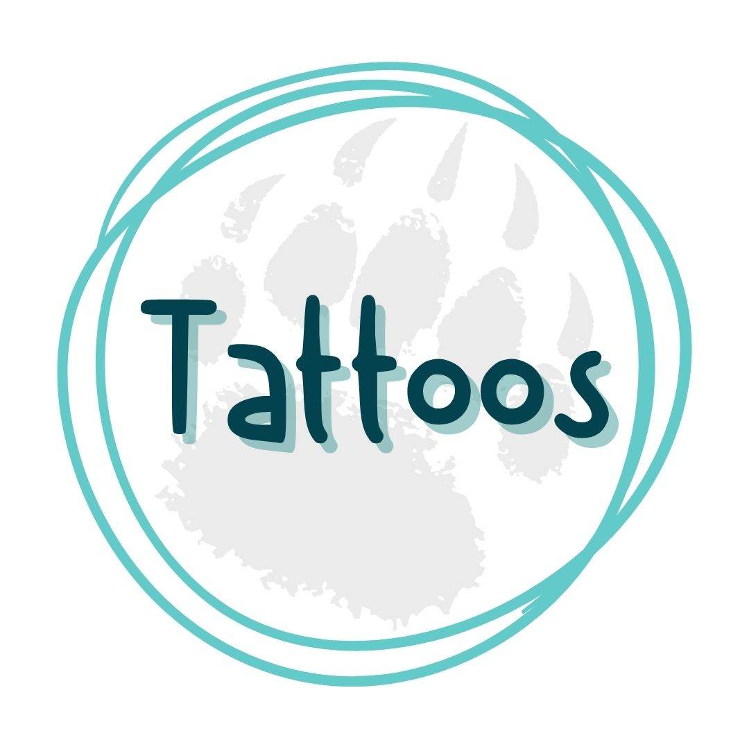Waterslide Tattoos Collection: Express Your Style Instantly - Pressing Images