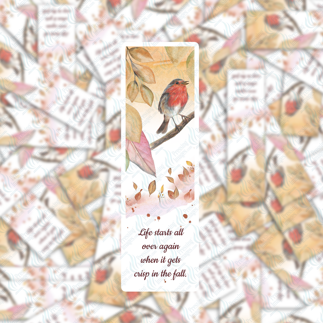 PI 0343 Bird Life Starts Bookmark Decal & Acrylic Blank