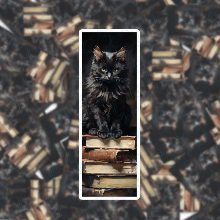 PI 0324 Black Cat Books Bookmark Decal & Acrylic Blank