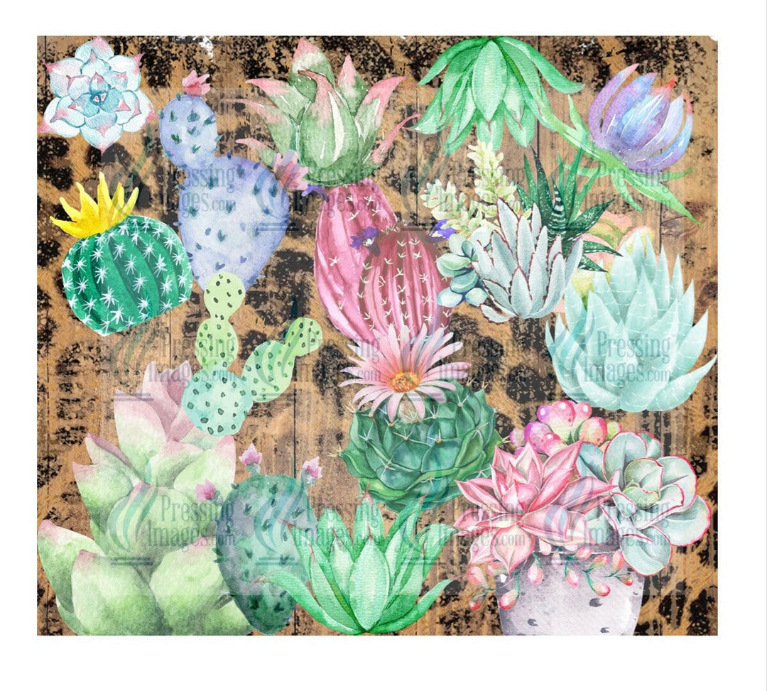 4680 cactus cheetah.