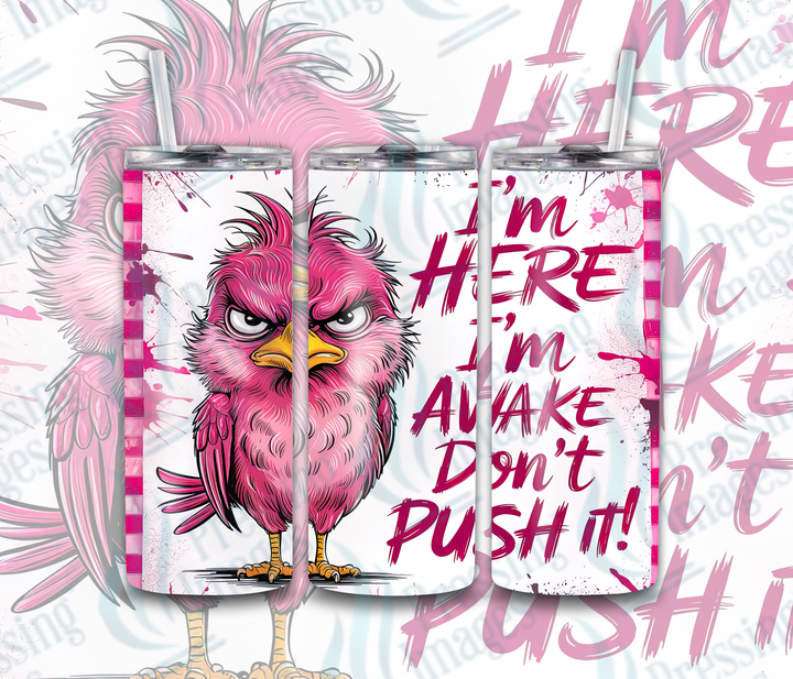 15004 I'm Here I'm Awake