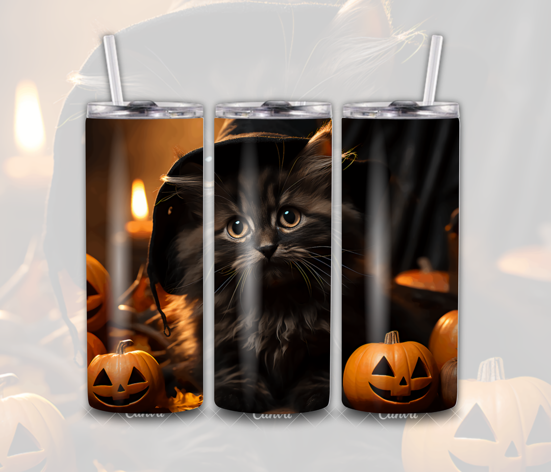 15044 Black Cat