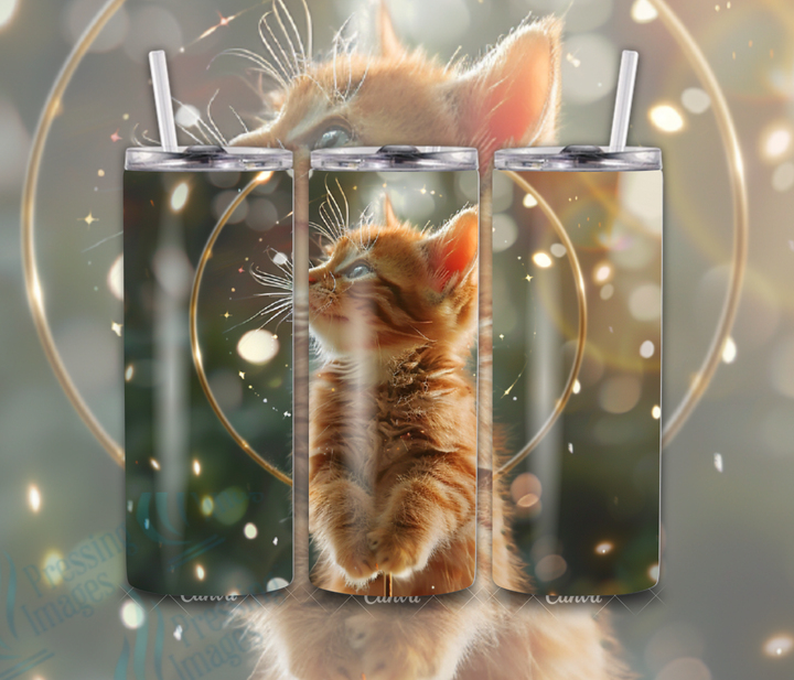 15046 Orange Cat / Calico Cat Wrap