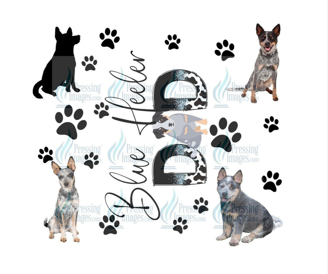 4664 blue heeler dad.