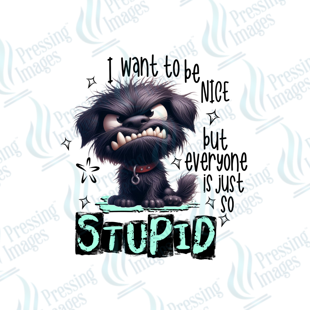 Decal SB 2495 I want to  be nice