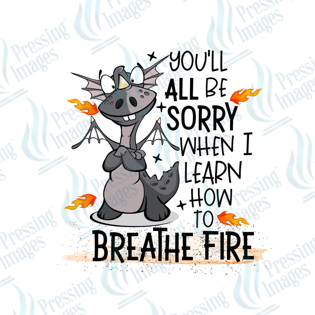 Decal SB 2516 You'll be sorry