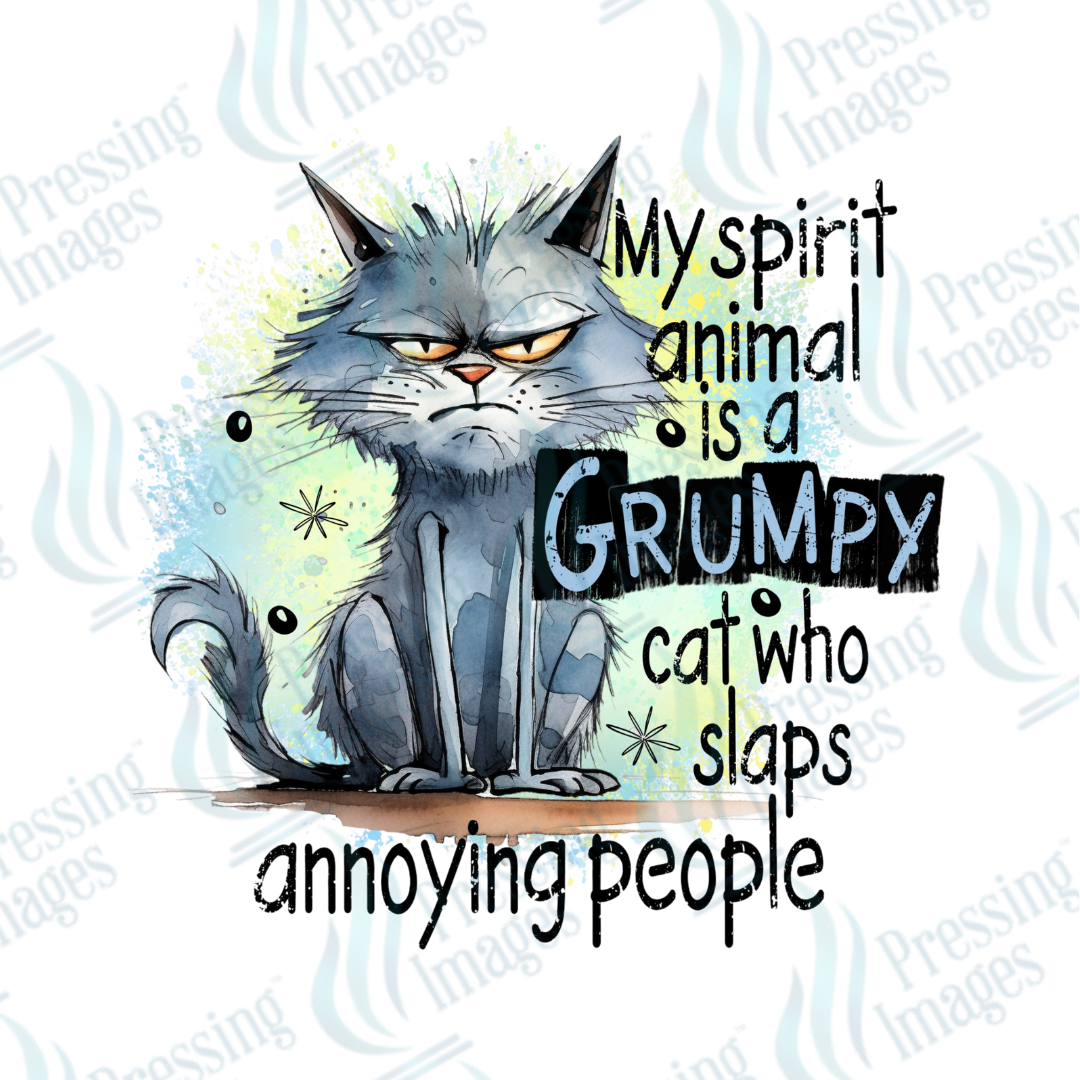 Decal SB 2502 My spirit animal is a grumpy cat