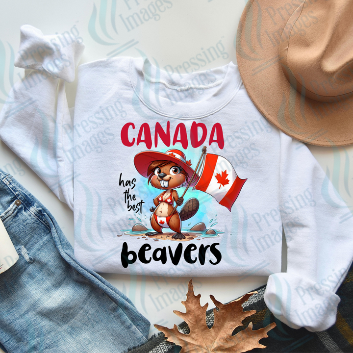 DTF 2715 Canadian Beaver's