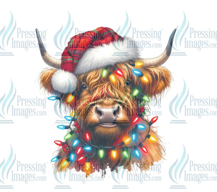 DTF: 1064  Highland cow in lights