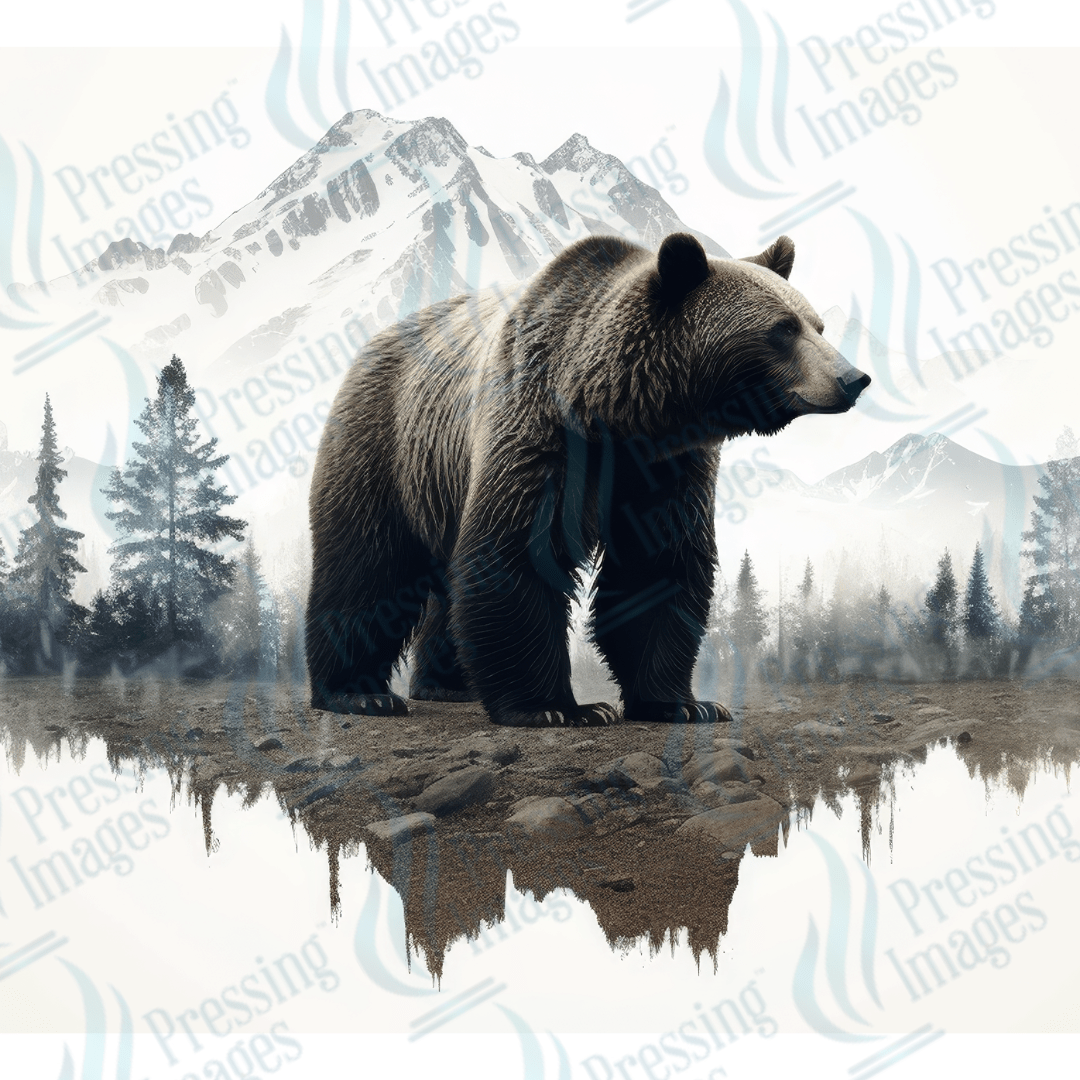 5141 Mountain Bear - Pressing Images