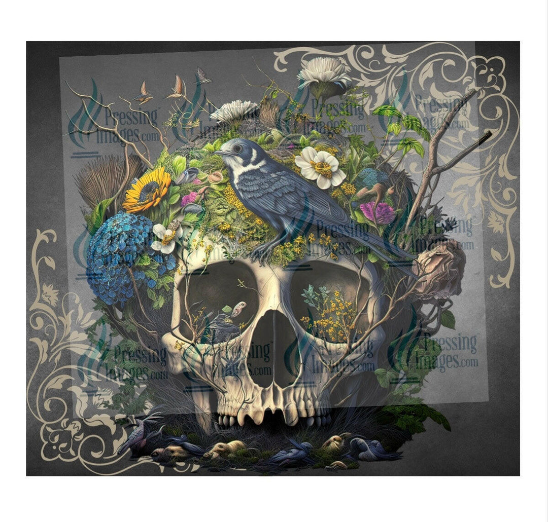 4934 Skull floral tumbler Wrap.