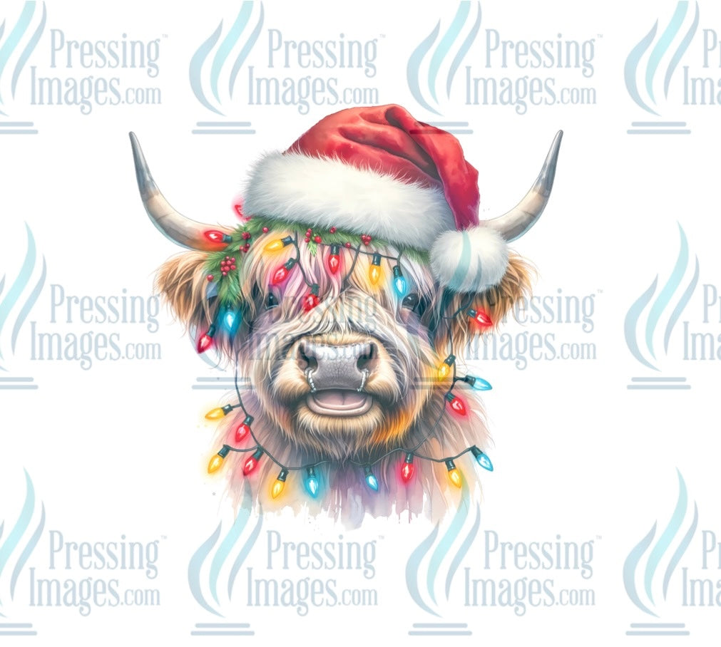 DTF: 1066 Highland cow in lights