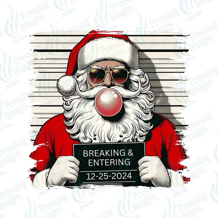 DTF 6807 Santa Mug Shot — detail view — Pressing Images Canada