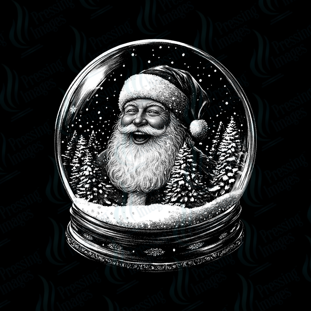 DTF 6842 Snow Globe — detail view — Pressing Images Canada