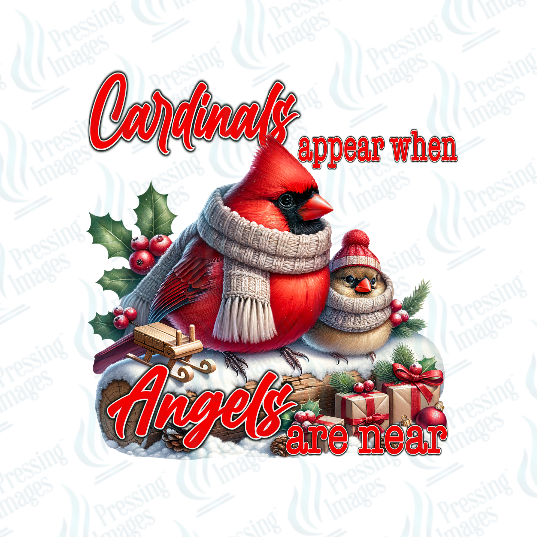 UVD 6845 Cardinals Appear When Angels Are Near