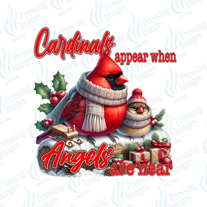 UVD 6845 Cardinals Appear When Angels Are Near