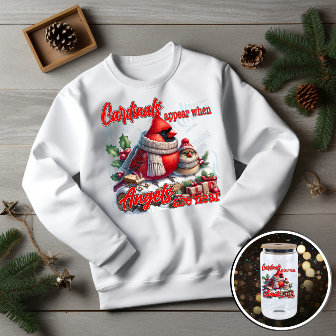 UVD 6845 Cardinals Appear When Angels Are Near