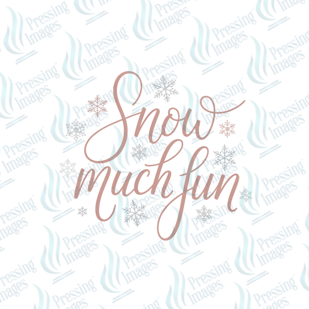 DTF 6866 Snow Much Fun — detail view — Pressing Images Canada