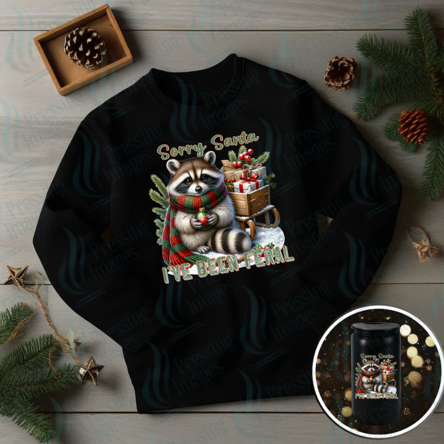DTF 6870 Sorry Santa — Pressing Images Canada