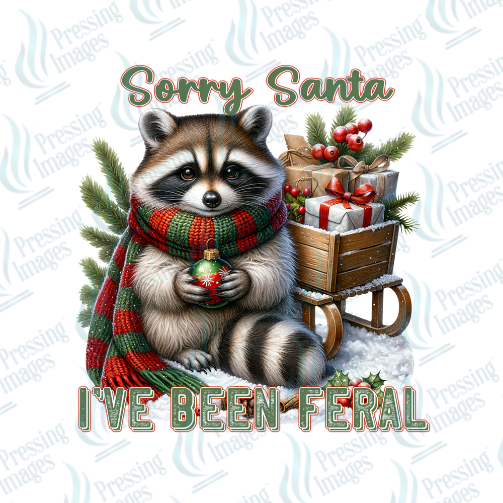 DTF 6870 Sorry Santa — detail view — Pressing Images Canada