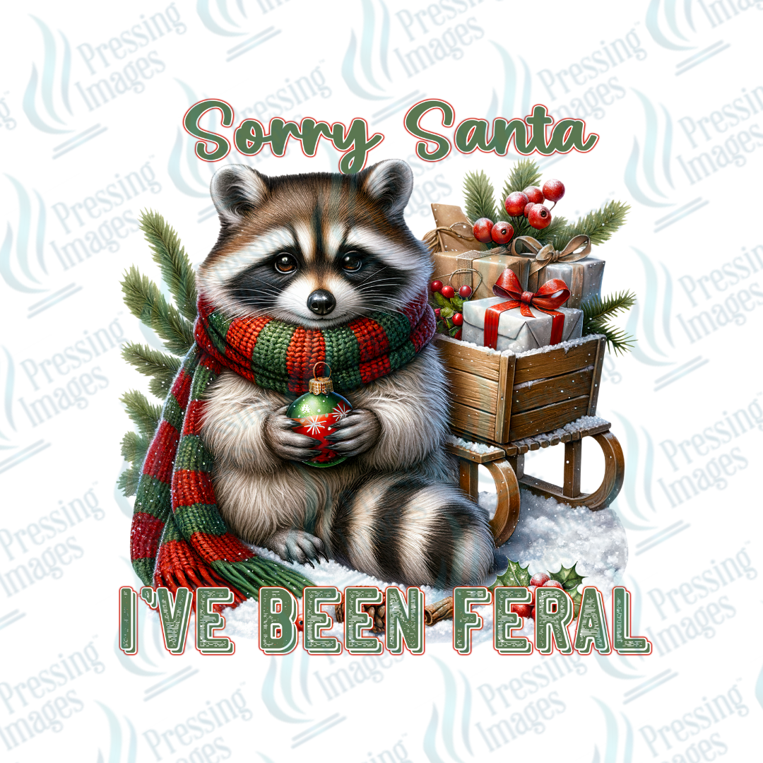 DTF 6870 Sorry Santa — detail view — Pressing Images Canada