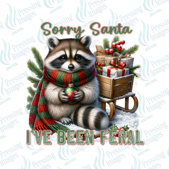 DTF 6870 Sorry Santa — detail view — Pressing Images Canada