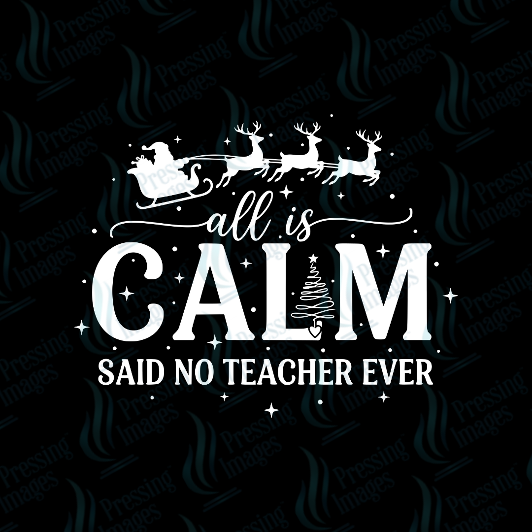DTF 6877 All Is Calm, Said No Teacher Ever — detail view — Pressing Images Canada