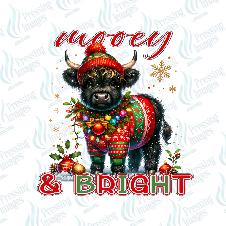 UVD 6977 Mooey and Bright