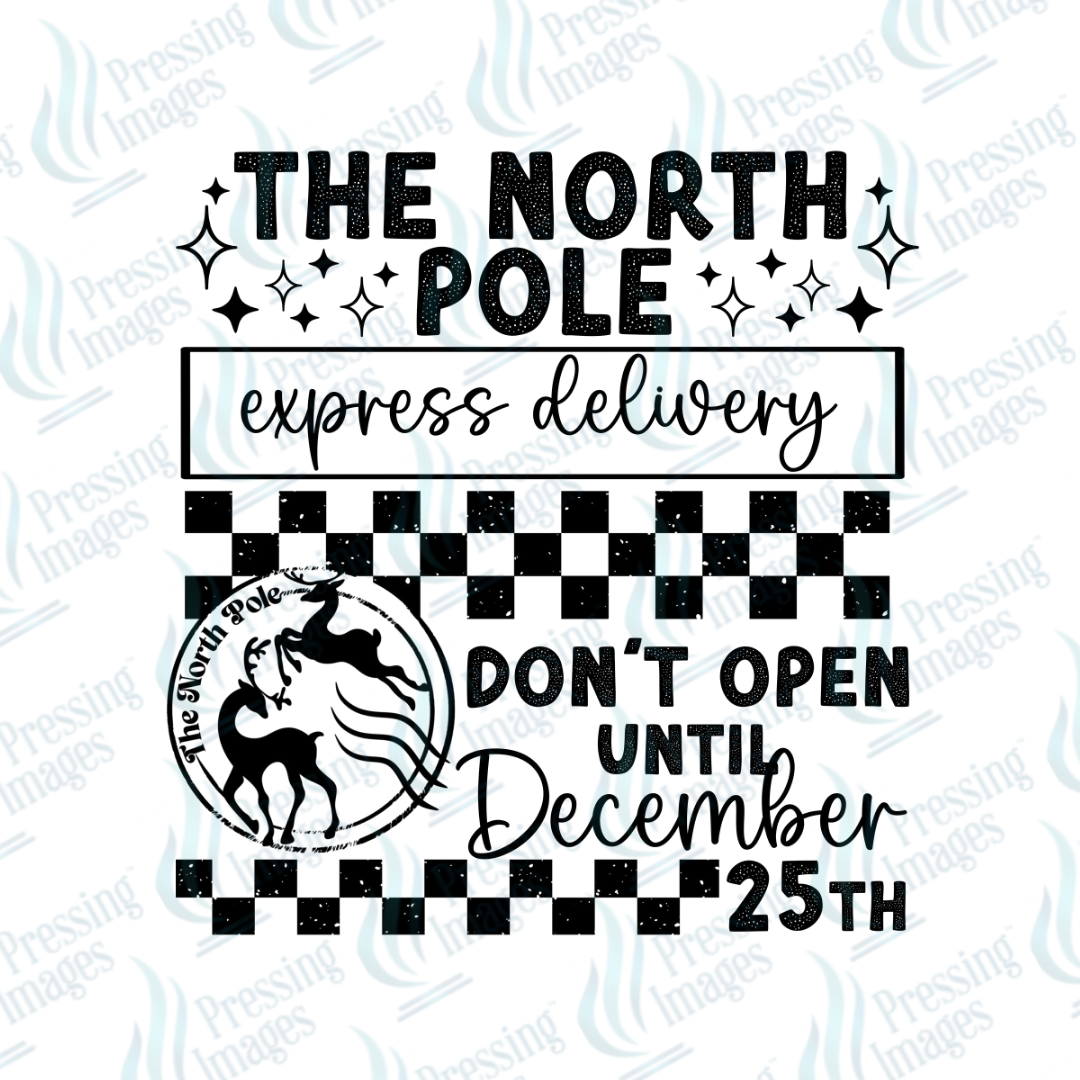 UVD 6999 The North Pole Express Delivery