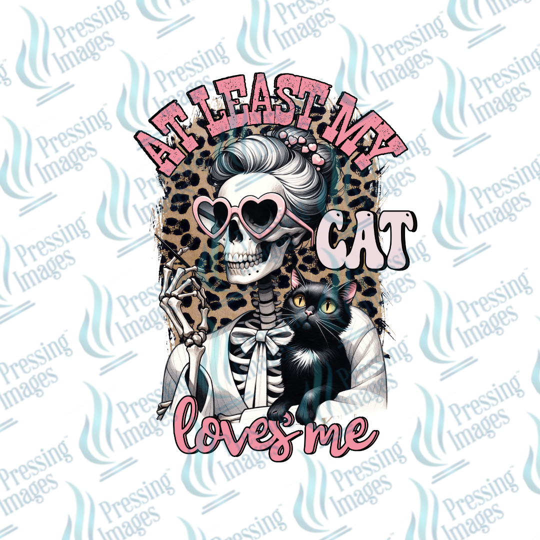 UVD 7018 At Least My Cat Loves Me — detail view — Pressing Images Canada