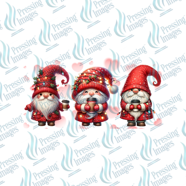 UVD 7022 Gnomes Valentine's — detail view — Pressing Images Canada