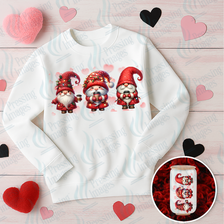 UVD 7022 Gnomes Valentine's — Pressing Images Canada