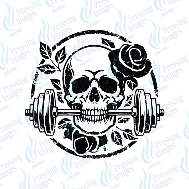 DTF 7167 Skull Fitness