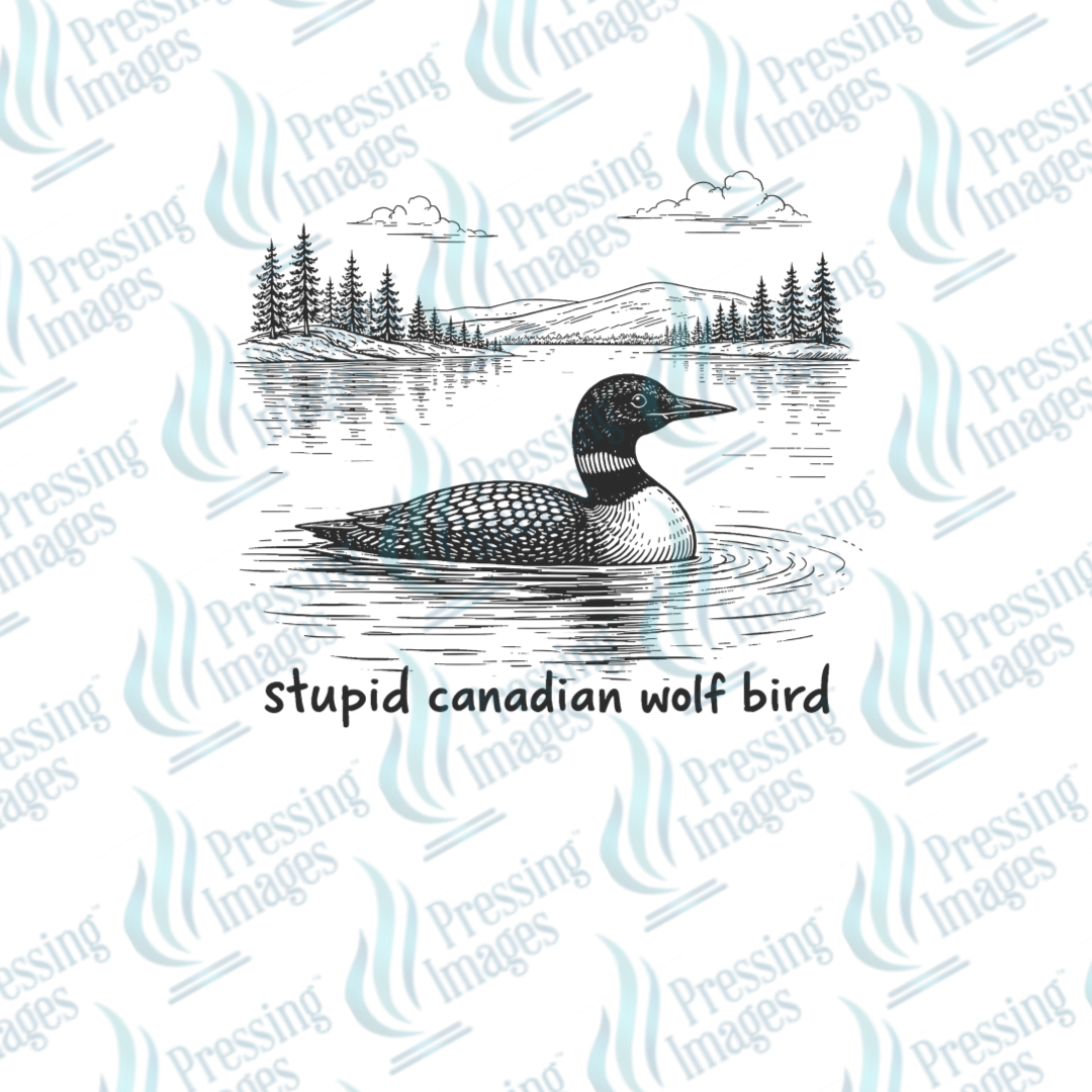UVD 7210 SCWB — size reference — Pressing Images Canada