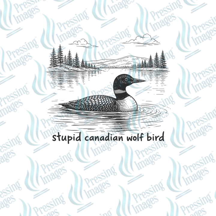 UVD 7210 SCWB — size reference — Pressing Images Canada