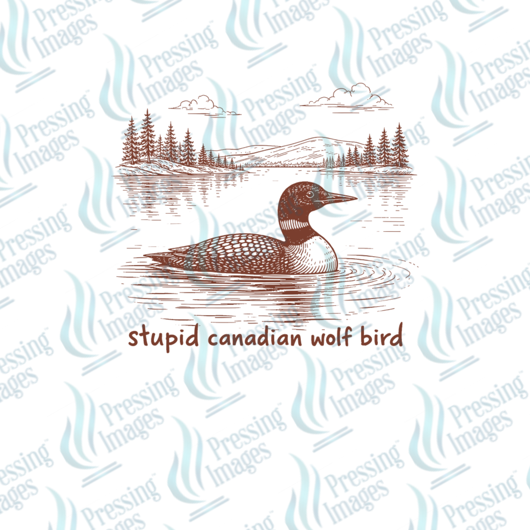 UVD 7210 SCWB — application example — Pressing Images Canada